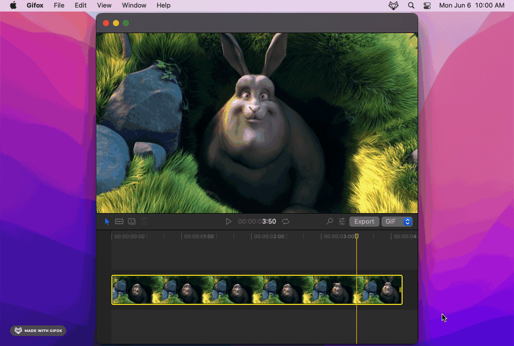 Exporting a media into a GIF file.